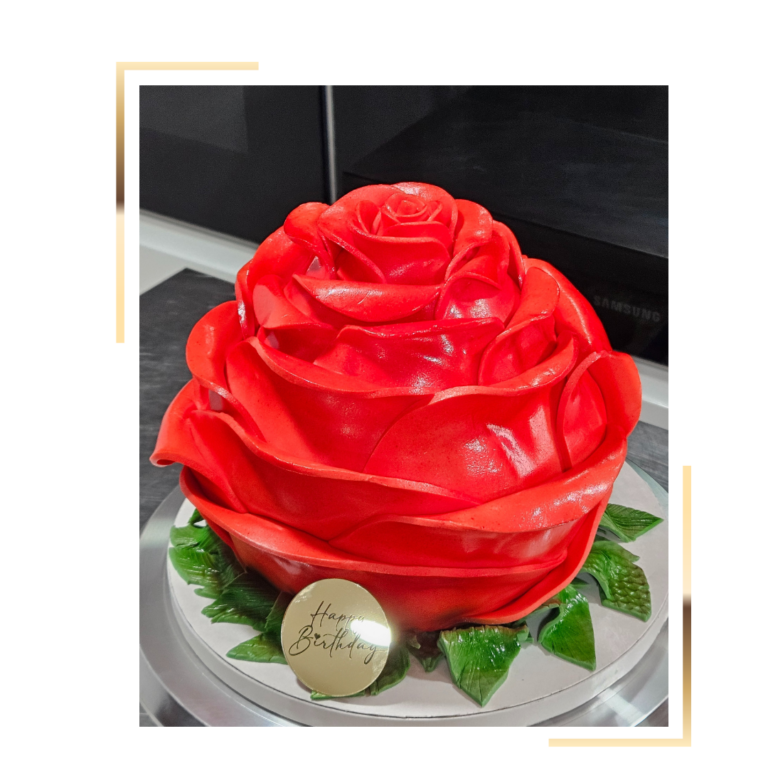 VIsuels site web (9)